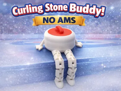 Curling Stone Buddy - No AMS