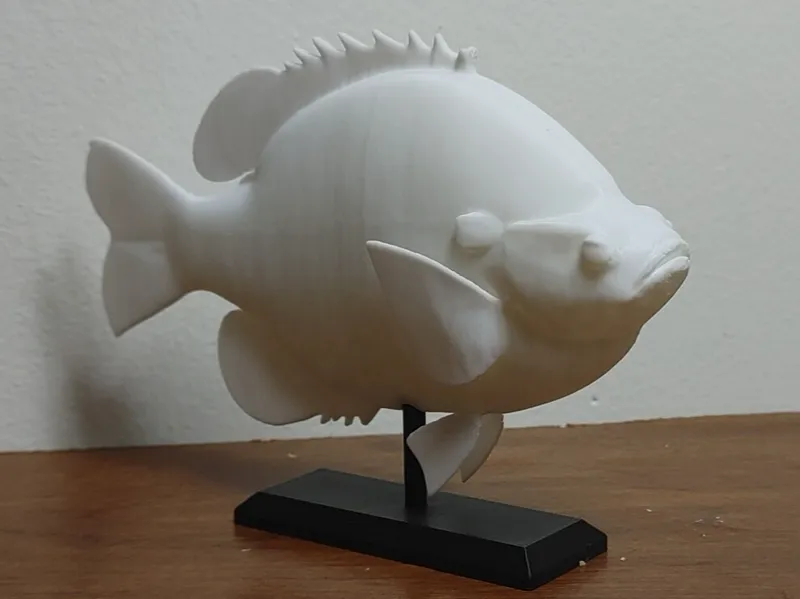 Bluegill Fish Mount 2
