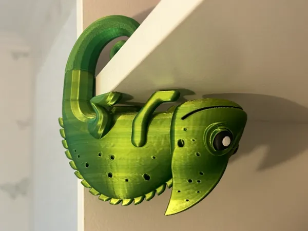https://makerworld.bblmw.com/makerworld/model/USbd9ded2ea926a2/design/2024-01-07_ede9d6a0f70d9.jpg