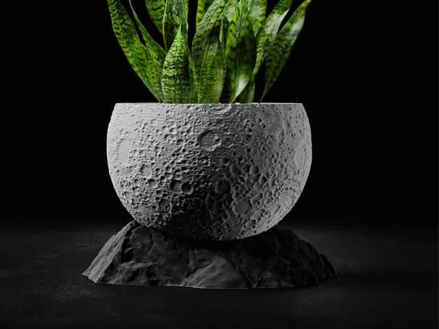 Moon Planter with Base