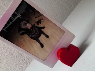Heart Photo Stand