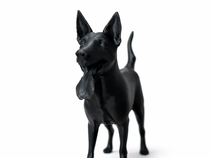 Australian Cattle Dog (Blue Heeler) – 3D Model