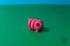 Mini Piggy - AMS - Small