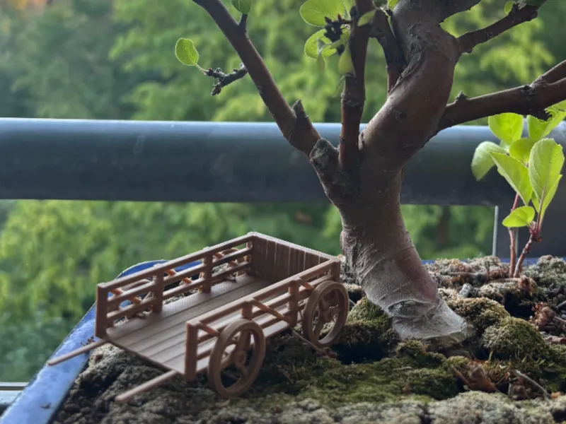 handcart miniature for Bonsai 