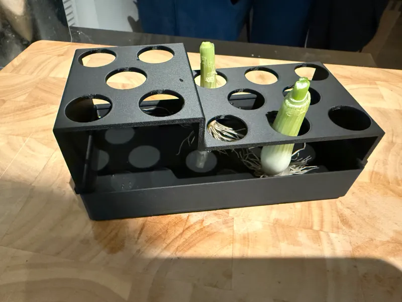 Gridfinity Green Onion reGrow / Frühlingszwiebeln
