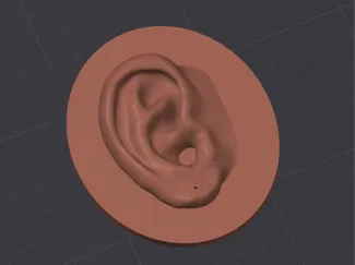 Ear for earring - Oval Backplate