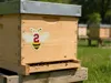 Honeybee Hive Tag