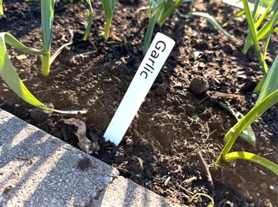 Plant Labels 30+ Garden Markers for Herbs, Veggies