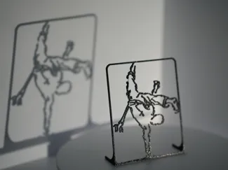 Shadow Capoeira – Beija Flor Edition