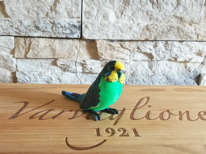 Realistic Parakeet - Schleich Inspired