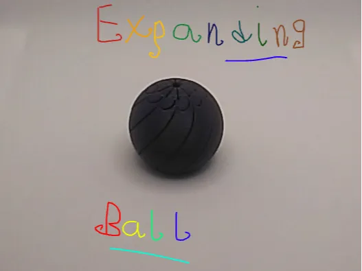 Fidget Expanding Ball, and Egg