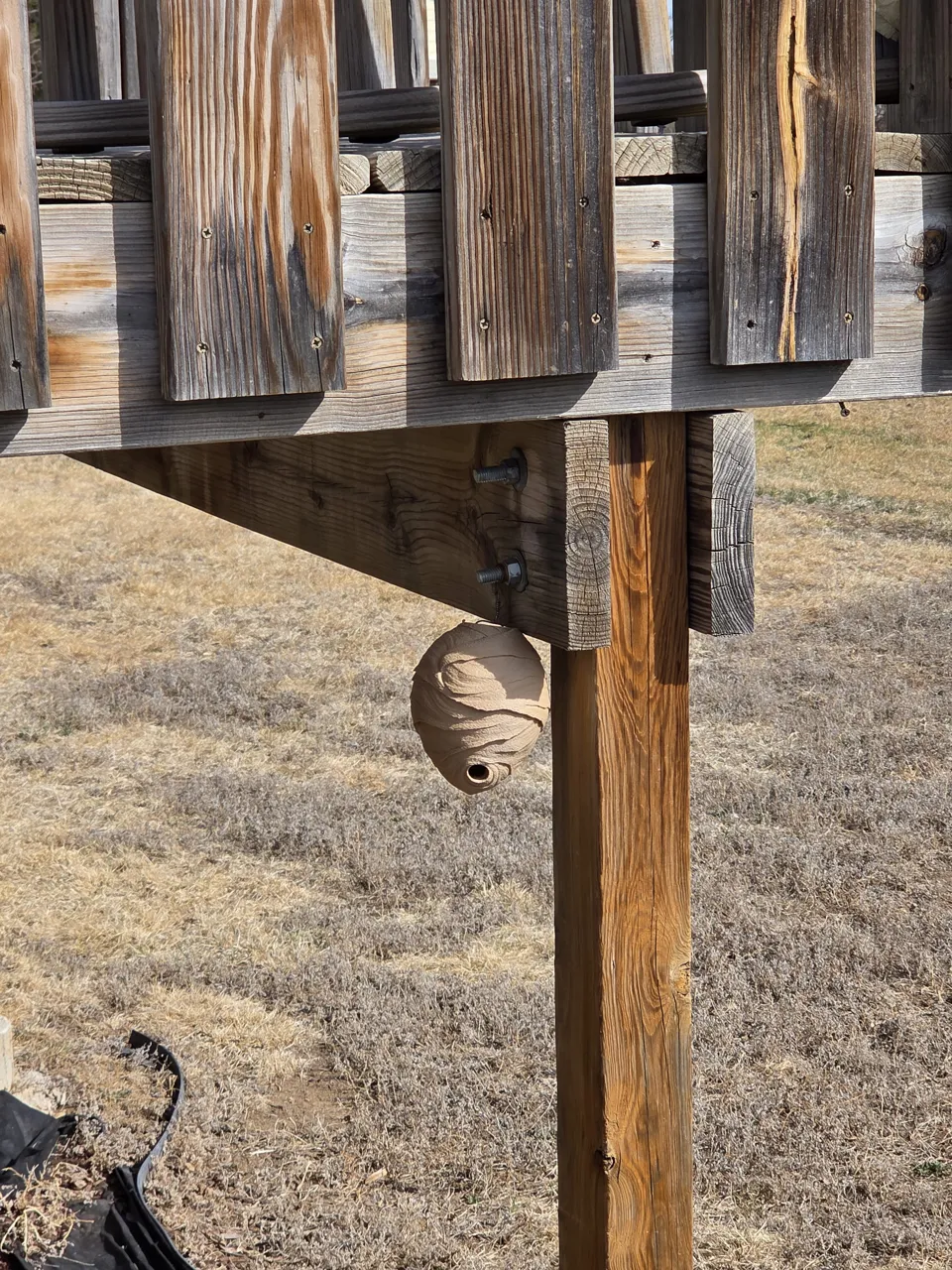 Realistic Textured Wasp Nest, Deterrent, Anti Wasp view 2