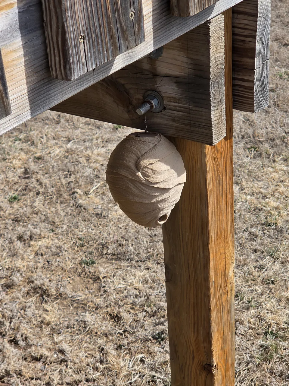 Realistic Textured Wasp Nest, Deterrent, Anti Wasp view 3