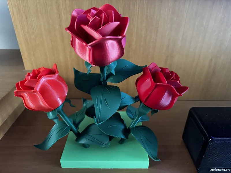 Valentines Rose