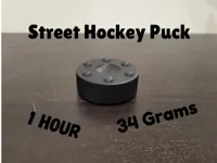 Palet de hockey de rue — photo 2