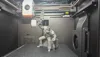 Sailor Gangplank - 0.2mm layer, 3 walls, 17% infill