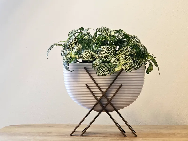 Planter pot