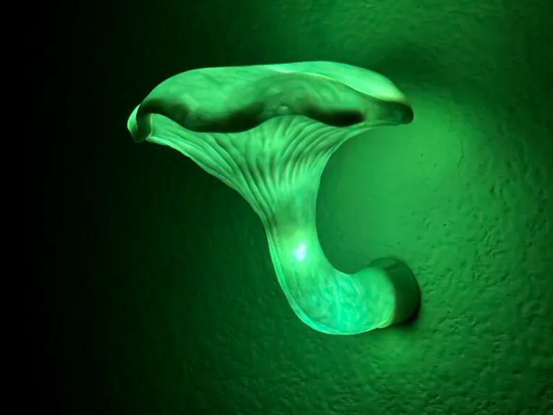 Chanterelle Mushroom Wall Lamp