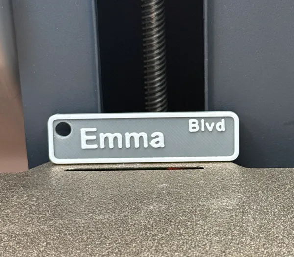 https://makerworld.bblmw.com/makerworld/model/USbde54379aebe55/design/2025-01-01_866ec1313dcfb.jpg