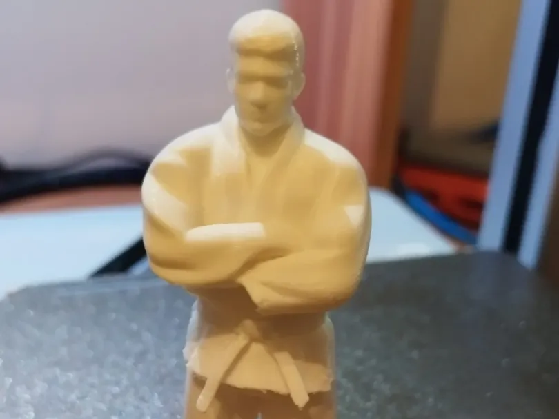 Judoka debout, bras croisés