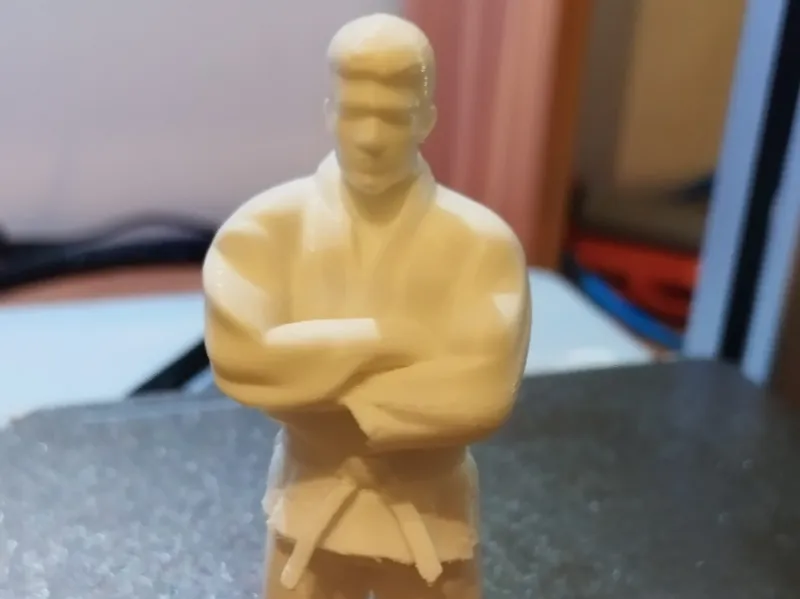 Judoka debout bras croisés