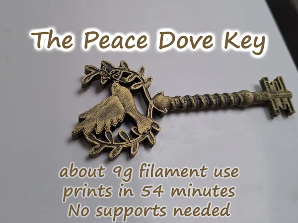 https://makerworld.bblmw.com/makerworld/model/USbde70563d15552/design/2024-12-21_45e883ab8375d8.jpg