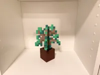 Oak sapling - AMS