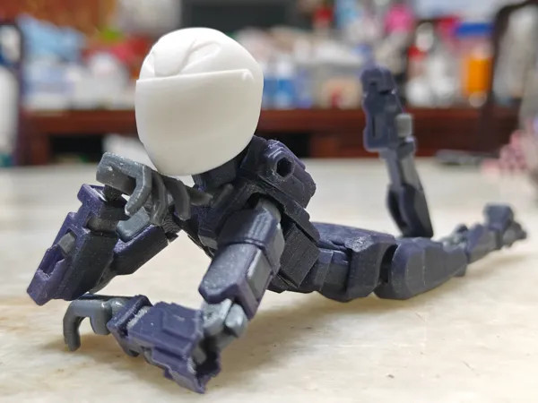 https://makerworld.bblmw.com/makerworld/model/USbdeb39b194f37/design/2025-05-03_d4436906216cc.jpg