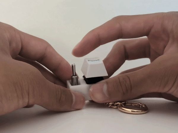 2 in 1 keychain fidget