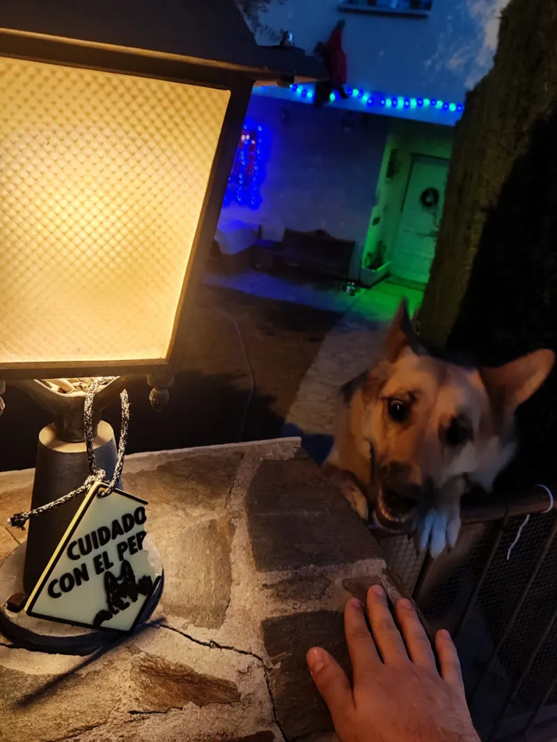 CUIDADO CON EL PERRO!!