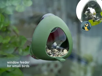 Window Bird Feeder for Small Birds
