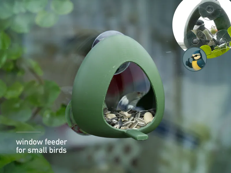 Window Bird Feeder for Small Birds