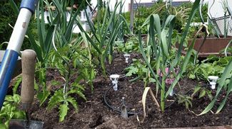 Low pressure garden bed irrigation V1
