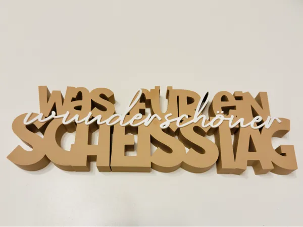 https://makerworld.bblmw.com/makerworld/model/USbdfc2d110fd58a/design/2025-12-05_ed0c050c6d385.jpeg