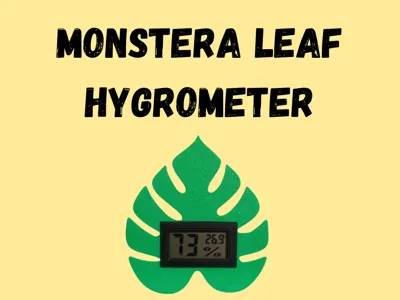 Monstera leaf hygrometer