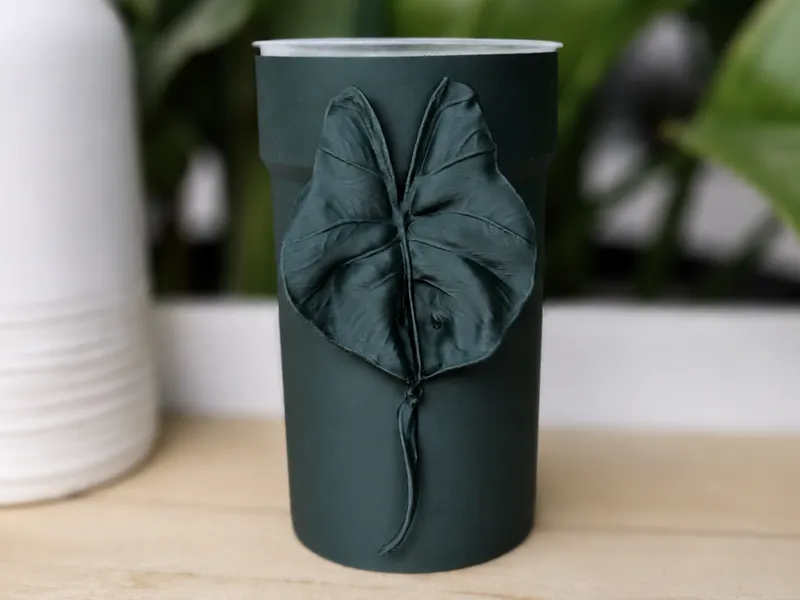 Alocasia Stingray Planter