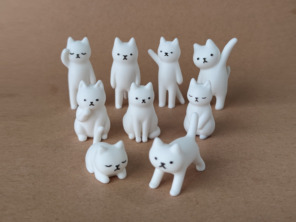 9只猫