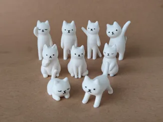 9只猫