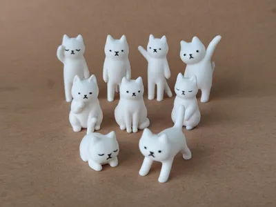 9 Cats