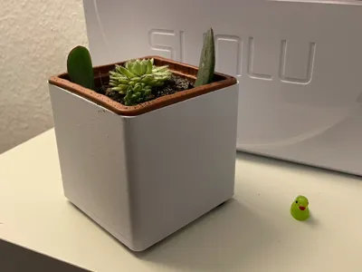 Simple and Fast Pot