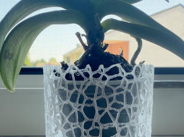 https://makerworld.bblmw.com/makerworld/model/USbe1b7c5a10e056/design/2025-06-22_62a1d7ae1ccbf.jpeg