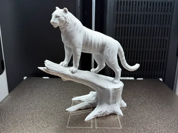 https://makerworld.bblmw.com/makerworld/model/USbe2bdad4123e96/design/2026-01-08_cf57933ca03c38.jpeg