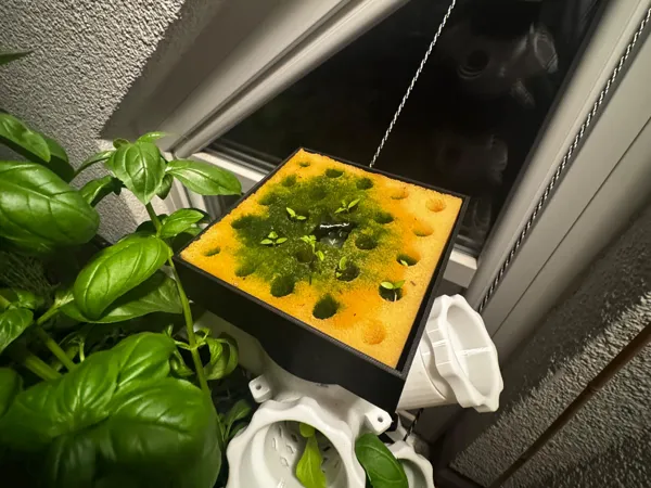 https://makerworld.bblmw.com/makerworld/model/USbe2df5c74ffe96/design/2025-07-06_a81266dce3ef.jpg