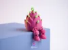 dragon fruit