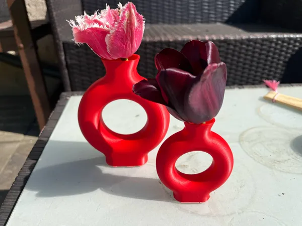 https://makerworld.bblmw.com/makerworld/model/USbe3556293e5923/design/2025-04-30_23e41f05aba4a.jpeg