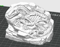 LARGE The Excavated Hunter Velociraptor Fossil Block