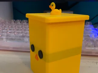 cute duck box