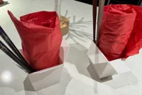 Large - 62mm (0.2mm layer, 2 walls, 30% infill)