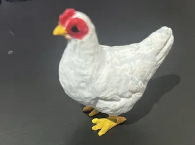 Gallina 