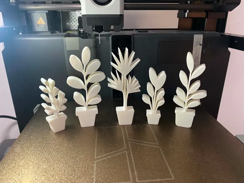 Plants